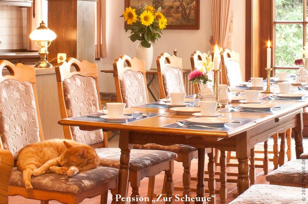 Pension Zur Scheune Plau am See Ngoại thất bức ảnh